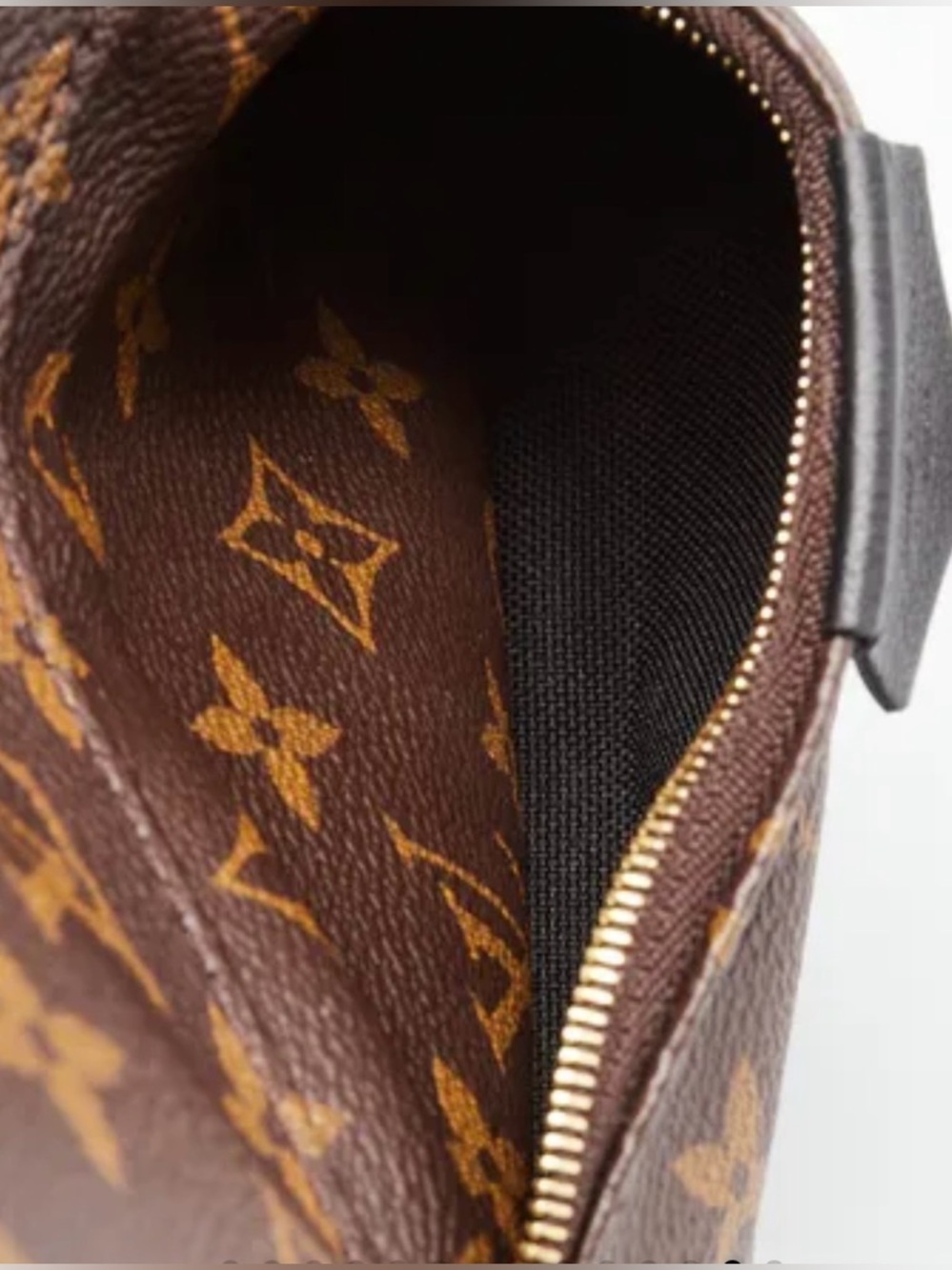 Louis Vuitton Palm Springs PM Backpack Monogram Canvas Brown Timeless Gift - Picture 9 of 15